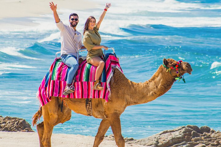 Camel ride along the shore