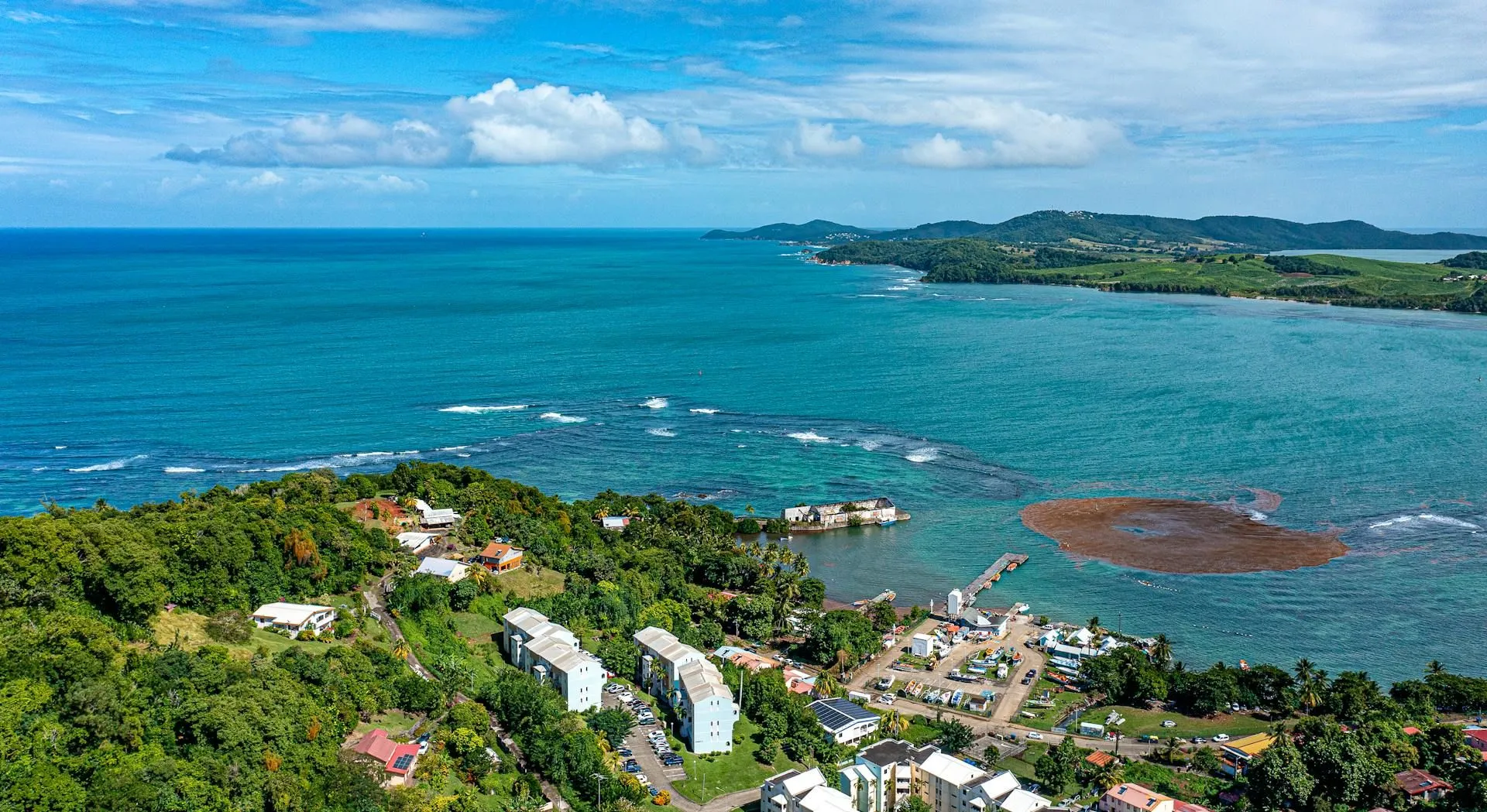 Dominica's rainforest coastline