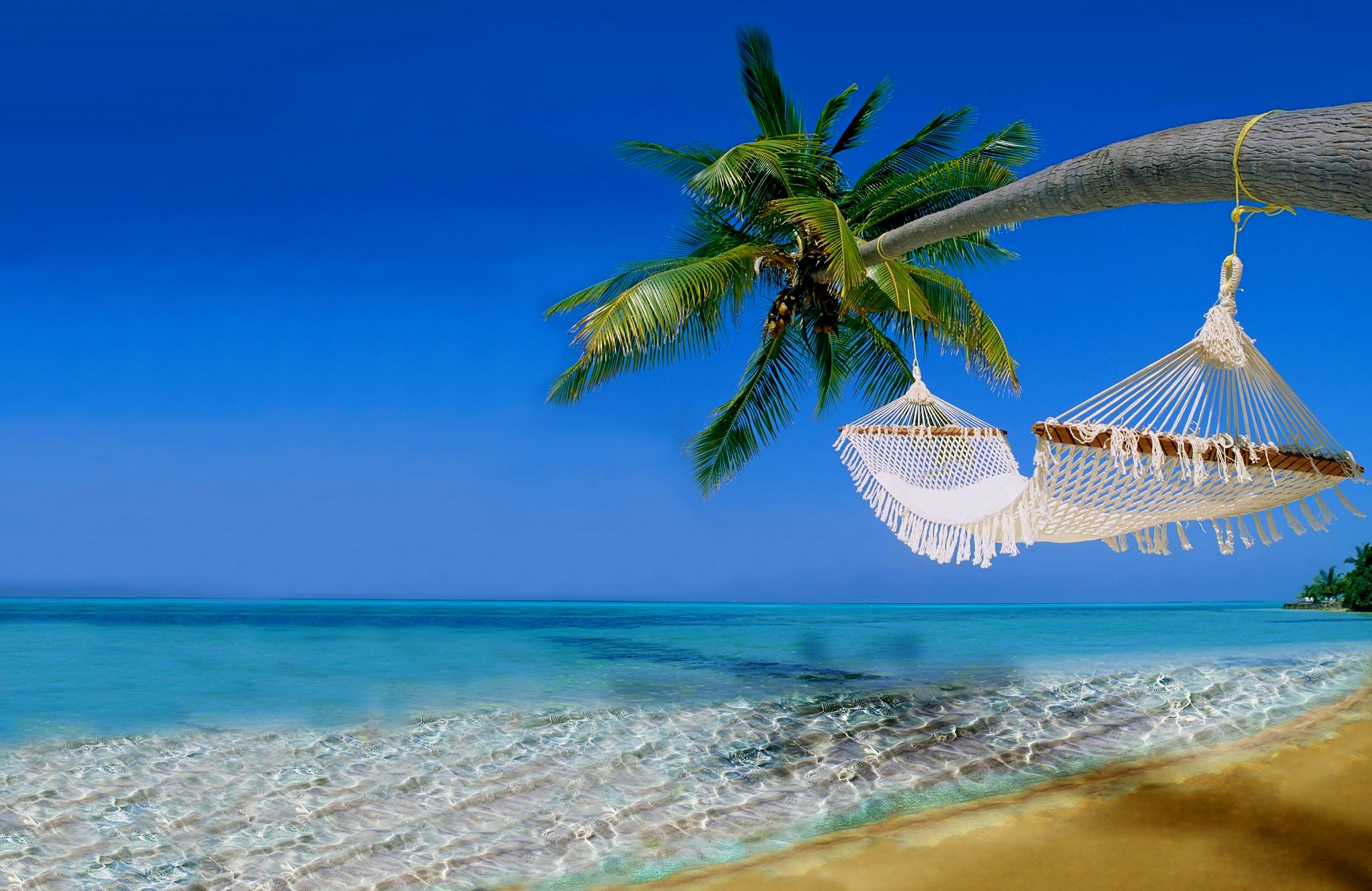 A hammock strung between palms above clear water