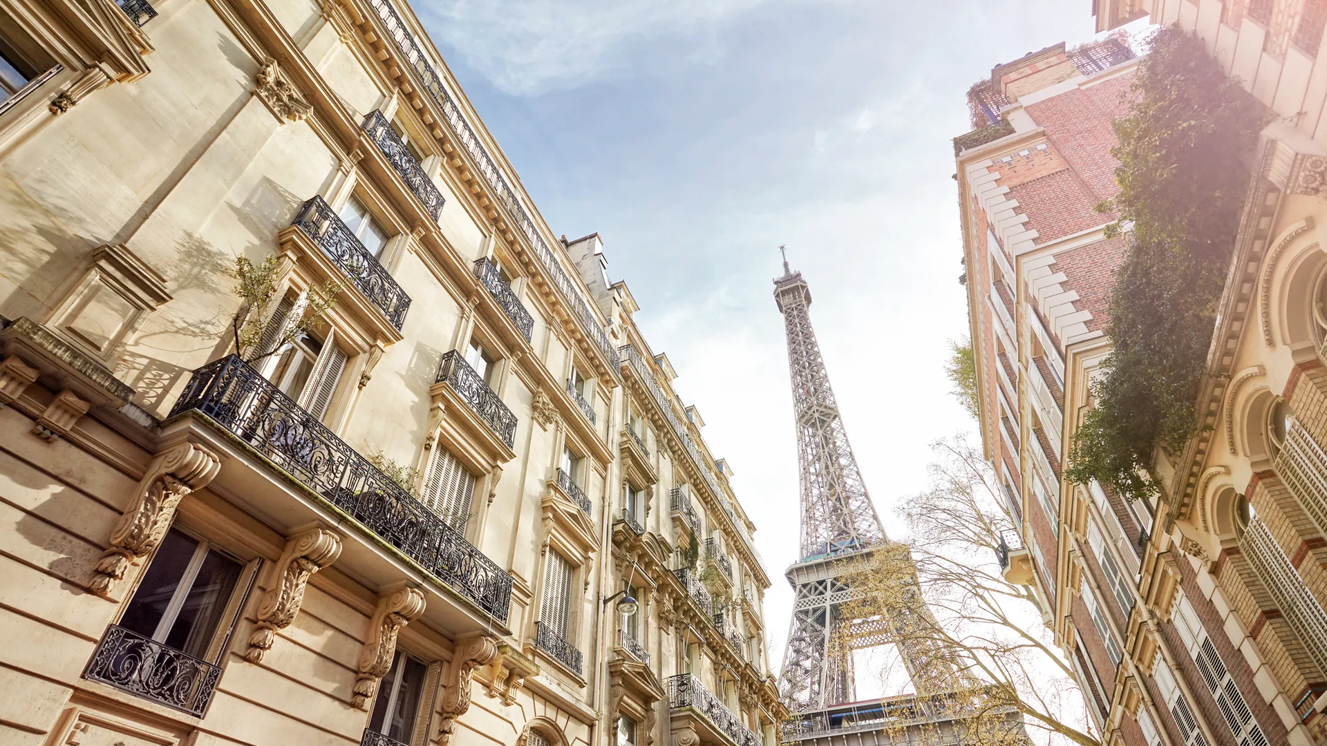 Paris rooftops and the Eiffel Tower