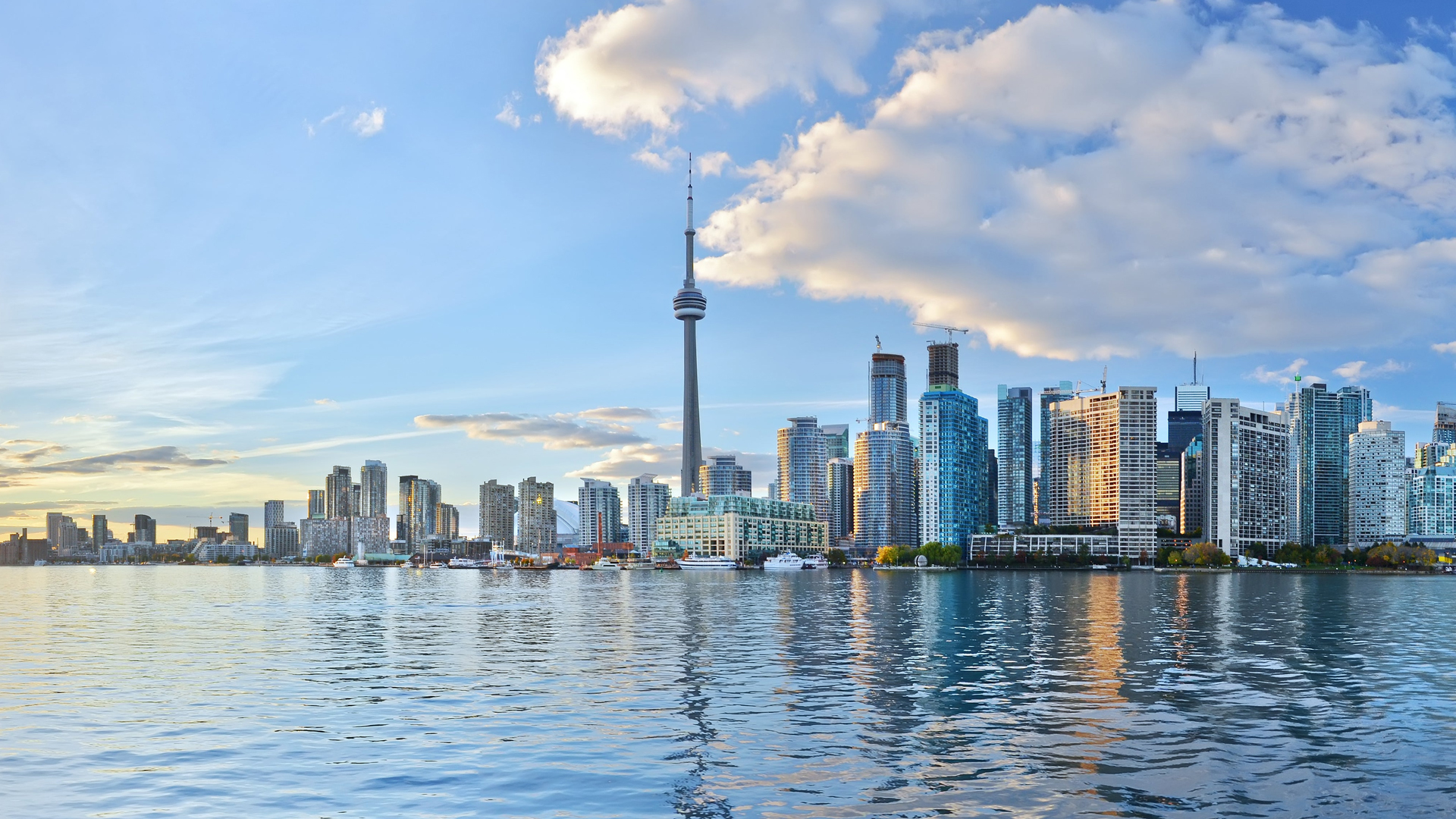 Toronto skyline from the lake